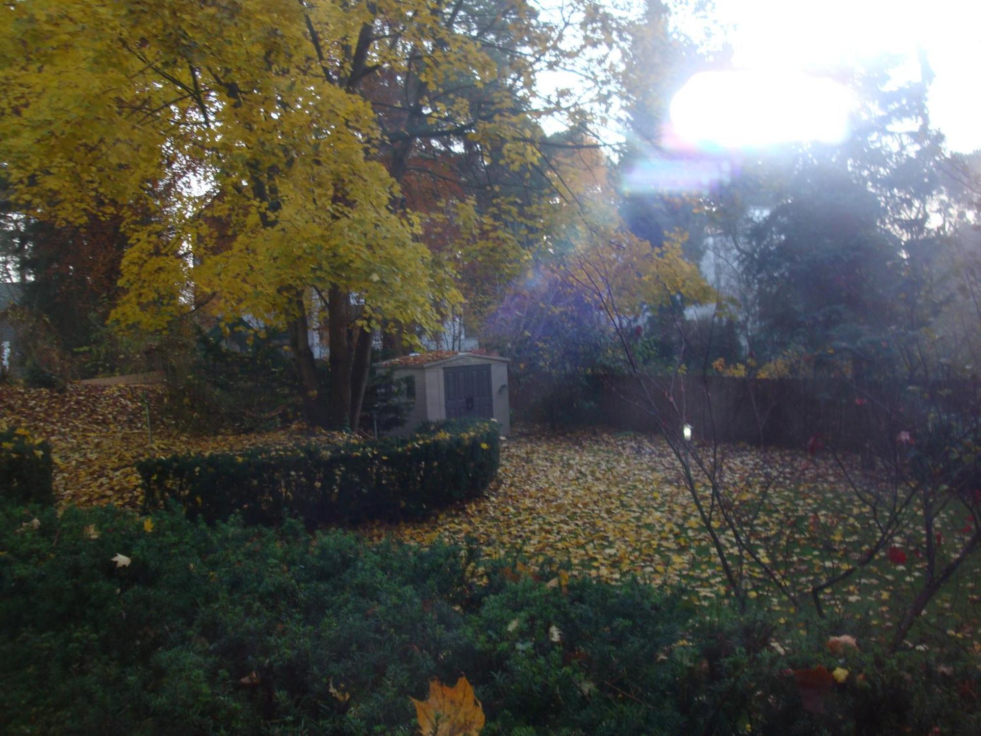 Hotel Landhaus Schlachtensee — Photos 2
